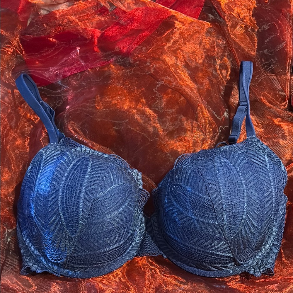 3/$25 La SENZA Midnight Blue Lace full coverage Bra